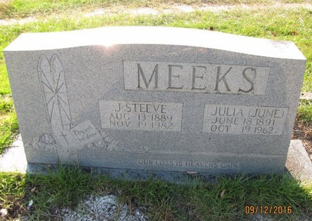 MEEKS, JASPER STEVEN "STEVE" - Stephens County, Georgia | JASPER STEVEN "STEVE" MEEKS - Georgia Gravestone Photos