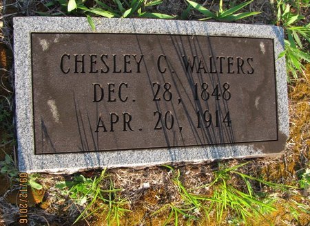 WALTERS, CHESLEY CAWTHON - Stephens County, Georgia | CHESLEY CAWTHON WALTERS - Georgia Gravestone Photos